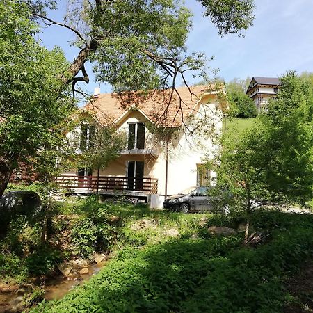 Vila Vrh Crni Vrh Dış mekan fotoğraf