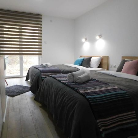 Vila Vrh Crni Vrh Dış mekan fotoğraf