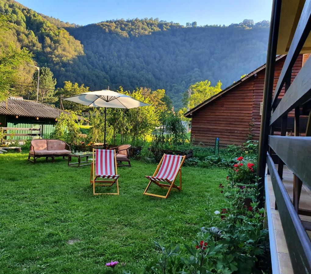 Vila Vrh Crni Vrh Dış mekan fotoğraf