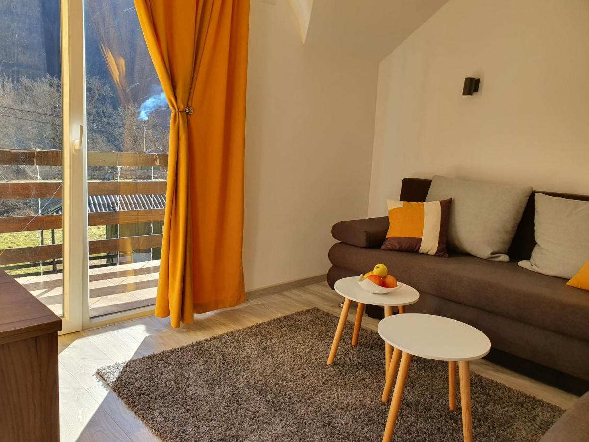 Vila Vrh Crni Vrh Dış mekan fotoğraf