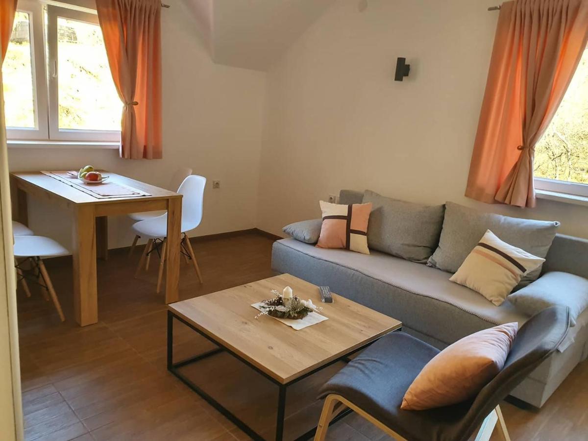 Vila Vrh Crni Vrh Dış mekan fotoğraf