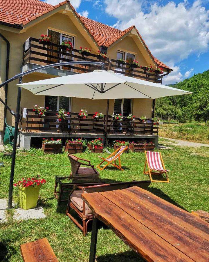 Vila Vrh Crni Vrh Dış mekan fotoğraf