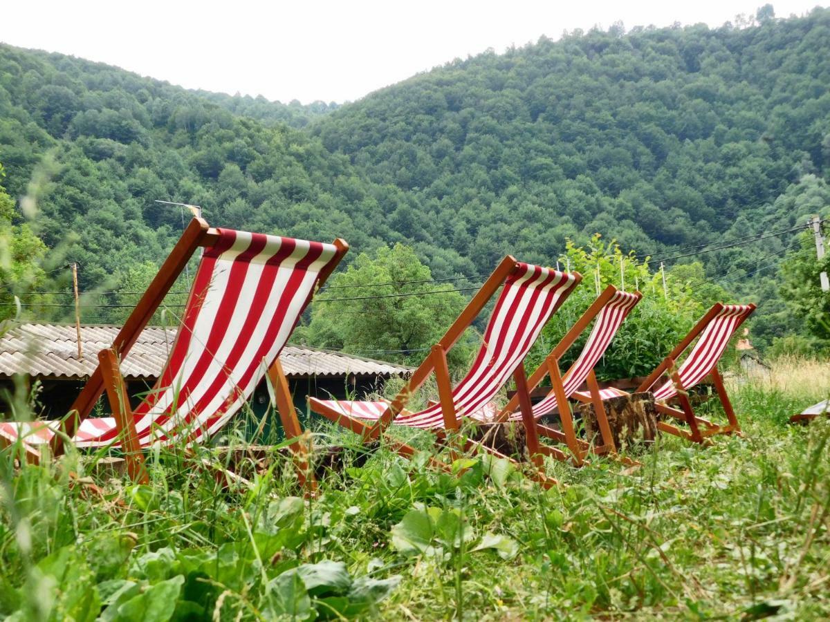 Vila Vrh Crni Vrh Dış mekan fotoğraf
