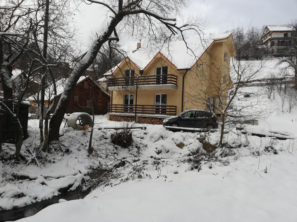 Vila Vrh Crni Vrh Dış mekan fotoğraf